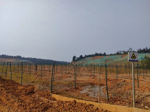 澧縣土地資源,澧縣公共基礎(chǔ)設(shè)施,澧縣工商業(yè)信息咨詢,澧縣澧州實業(yè)發(fā)展有限公司